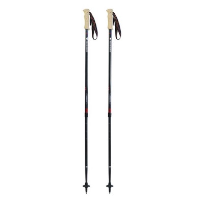 mountainsmith trekking pole