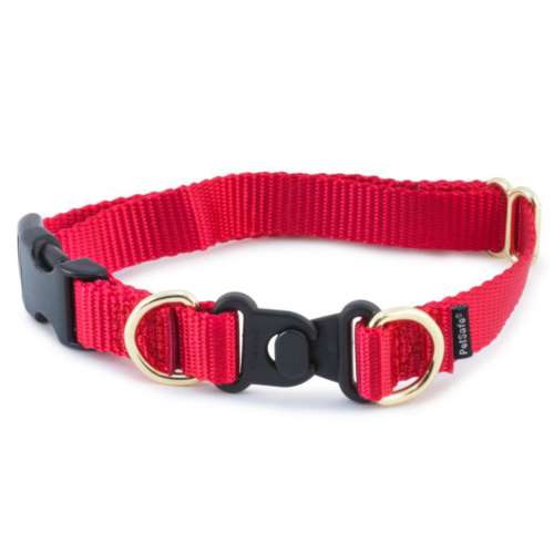 PetSafe KeepSafe BreakAway Dog Collar