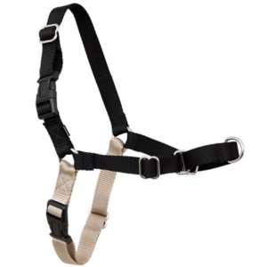 Chicago Bears Front Clip Pet Harness - XL