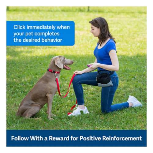 Best Dog Training Clickers  Positive Reinforcement Training Tools