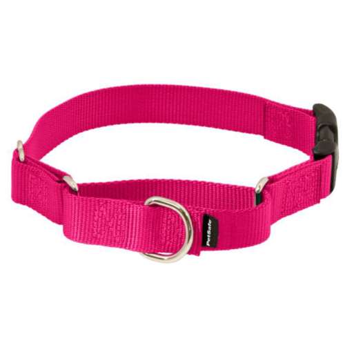 Premier martingale collar best sale