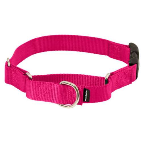 PetSafe Martingale with Quick-Snap Buckle Dog Collar