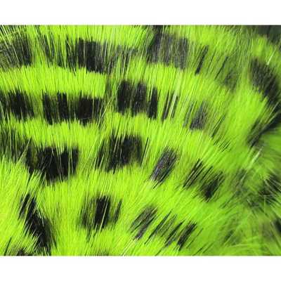 Black Bar/Chartreuse