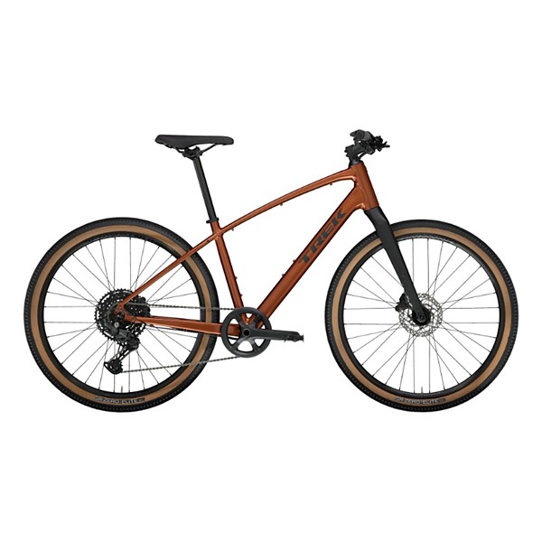 Trek Dual Sport Gen 2025 frame M buy bike: prices, reviews