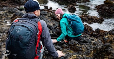 scheels camping gear