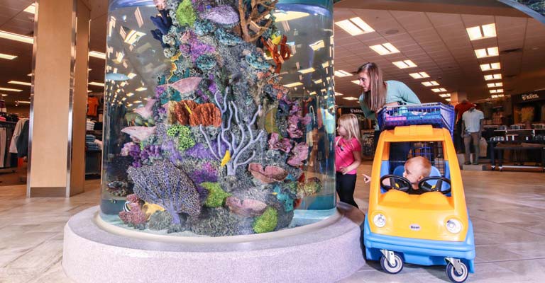 Fish Tank Kings video clips of premiere episode featuring Marlins Stadium  aquarium