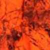 Blaze Orange Camo