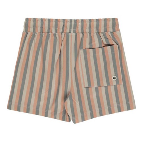 Baby Rylee + Cru Multi-Stripe Swim Trunks