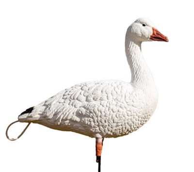 Snow Goose Combo 10-Pack – Dave Smith Decoys, 40% OFF