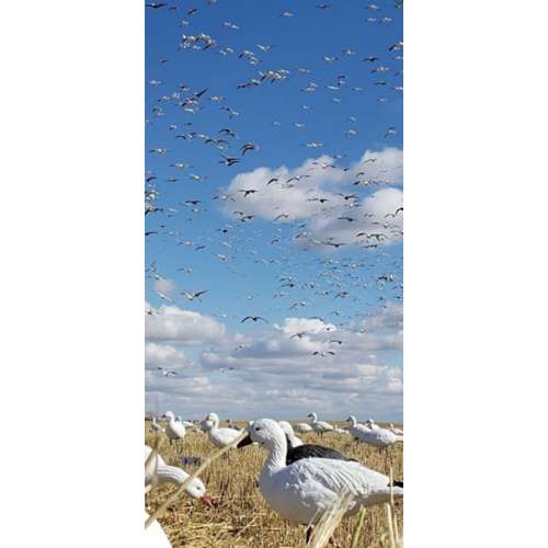 SX Full Body Snow Goose Decoy