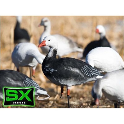 SX Full Body Adult Blue Goose Decoy Pack