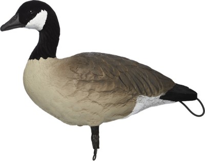 SX Lesser Painted Full Body Canada Goose Decoys 6 Pack