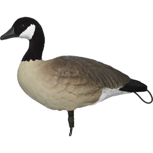 SX Lesser Painted Full Body Canada Goose Decoys 6 Pack