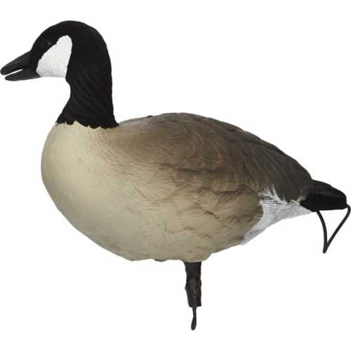 SX Lesser Painted Full Body Canada Goose Decoys 6 Pack