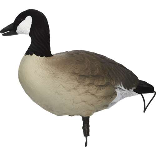 SX Lesser Painted Full Body Canada Goose Decoys 6 Pack