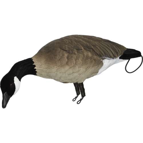 SX Lesser Painted Full Body Canada Goose Decoys 6 Pack