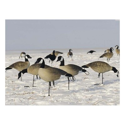 SX Lesser Combo Canada Goose Flocked Black Decoys 6 Pack