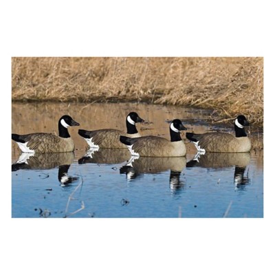 SX Floater Sentry Canada Goose Decoy Pack