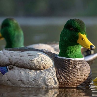 SX Flocked Head Mallard Floater Decoy 6 pack