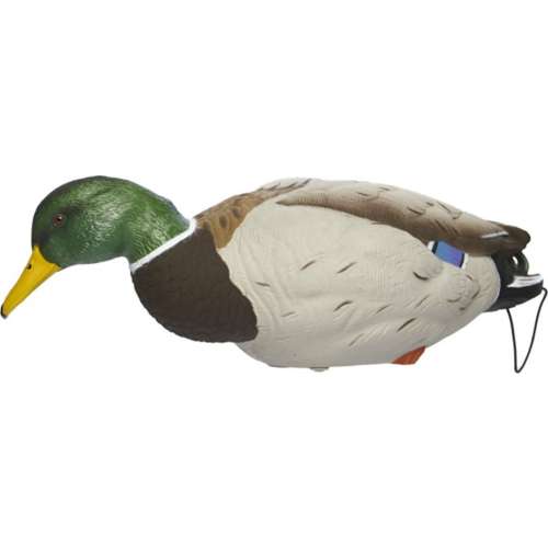 SX Full Body Mallard Painted Decoy 6 Pack | SCHEELS.com