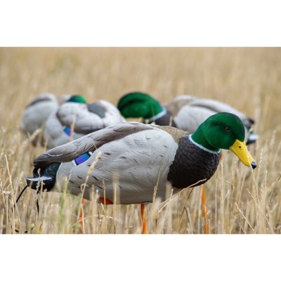 SX Full Body Mallard Flocked Head Decoys 6 Pack