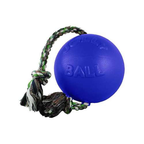 Jolly Pets Romp-n-Roll Ball Dog Toy