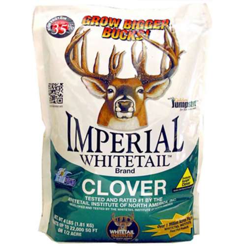 Imperial Whitetail Clover Seed
