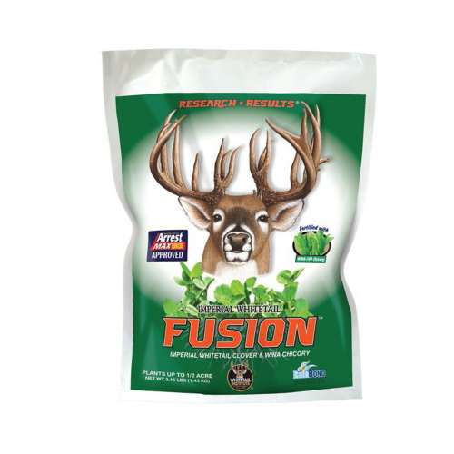 Imperial Whitetail Fusion Clover & Wina Chicory