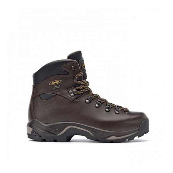 Men's Asolo Usa Inc Asolo TPS 520 GV EVO Waterproof Hiking Boots product image