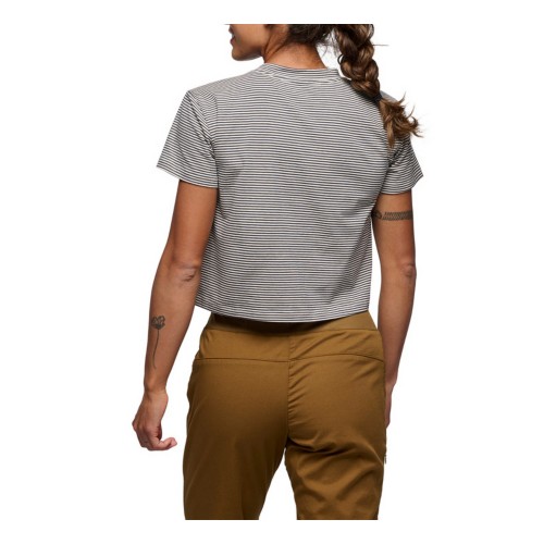 Women's Black Diamond BD Stripe Crop T-Shirt | SCHEELS.com