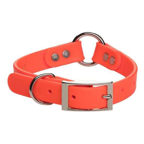 Mendota Pet Hunt Dog Collar