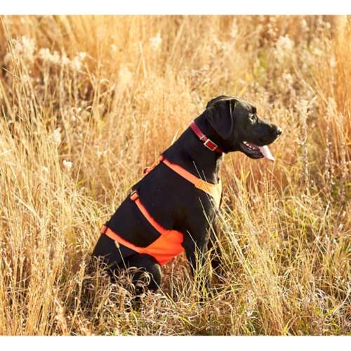 Mendota Pet Skid Plate Dog Vest