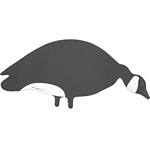 Big Al's B & W Greater Canada Goose Silhouettes - Thumbnail 2 of 2