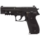 Kimber Camp Guard 10mm Auto Pistol