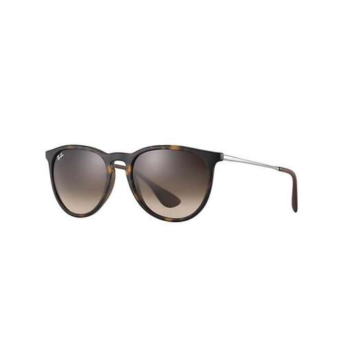 Ray-Ban Erika Classic Sunglasses