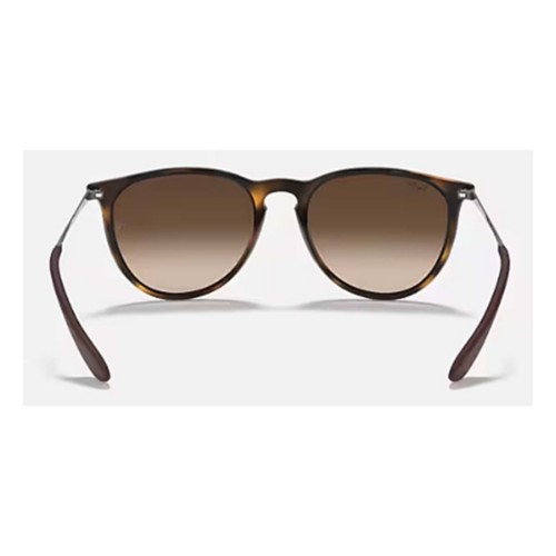 レイバン　ERIKA CLASSIC ERIKA CLASSIC Sunglasses in Rubber Black and Grey Gradient