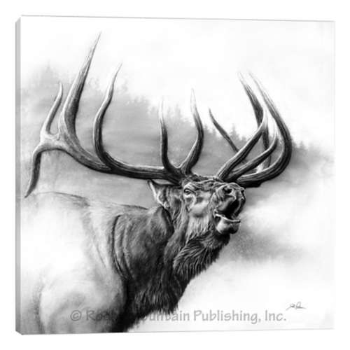 Rocky Mountain Publishing Wild Bunch Elk Canvas