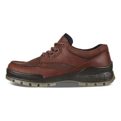 Sympatisere koncert timeren Men's ECCO Track 25 GTX Shoes Waterproof Hiking Boots | SCHEELS.com