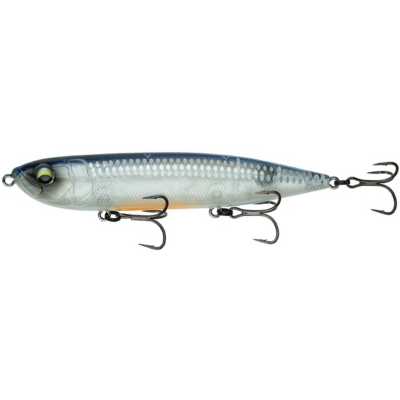 Sensory Shad