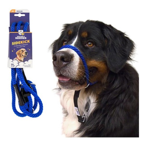 Heather's Heroes The Sidekick Dog Lead