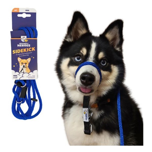 Heather's Heroes The Sidekick Dog Lead