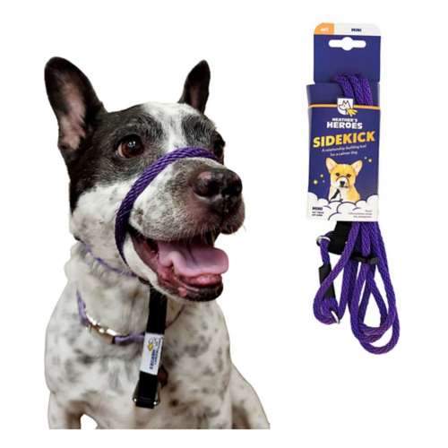 Transitional best sale dog leash