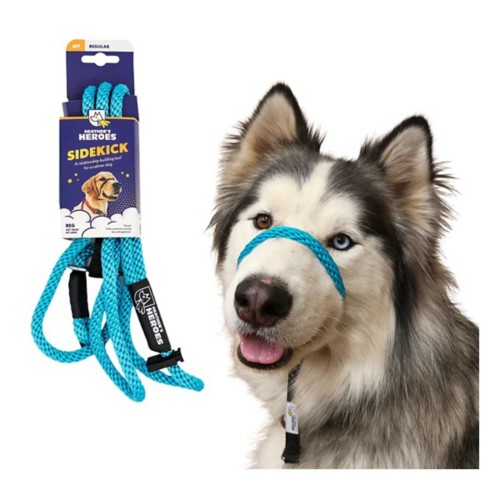Heather's Heroes The Sidekick Dog Lead