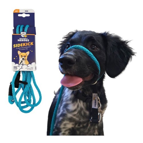 Heather's Heroes The Sidekick Dog Lead