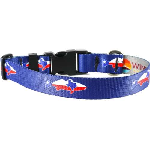 Wingo dog outlet collar