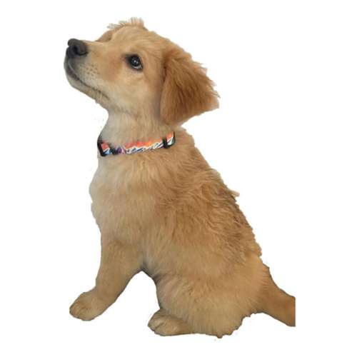 MTN Straps Spanish Peaks Dog Collar