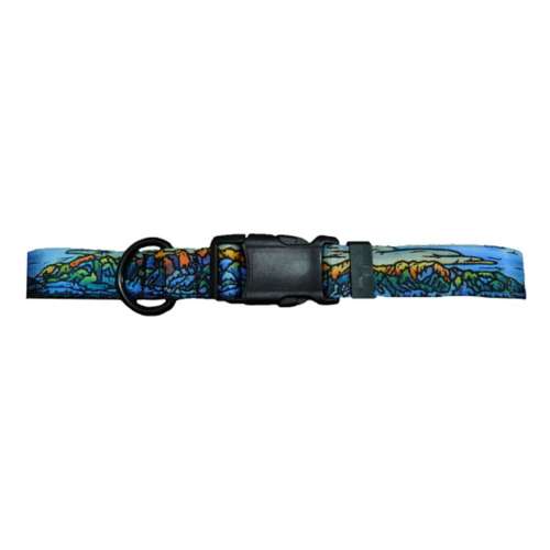  Pet Goods NCAA Virginia Cavaliers Dog Collar, Large : Sports  Fan Pet Collars : Sports & Outdoors