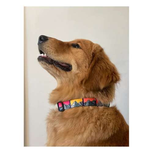 MTN Straps Idaho 9 Dog Collar