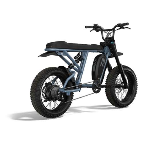 eBike Hydraulic DiscBrake 8Speed eBikes Gravity X-Rod Electric Bikes