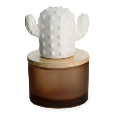 Airome Cactus Porcelain Diffuser